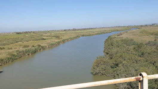 Riserva Naturale Oasi del Simeto