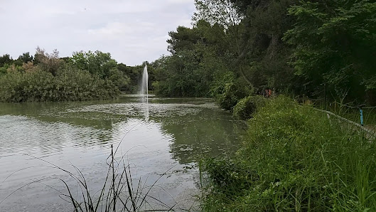 Riserva naturale Pineta Dannunziana