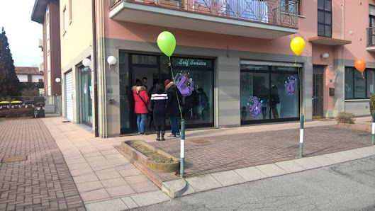 Rolling Dogs Lavaggio Self-Service e Toelettatura Padova