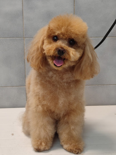 SANI E BELLI di Agnese Sasso