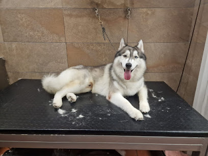 SPA for PETS di Anna Laura & Hernan