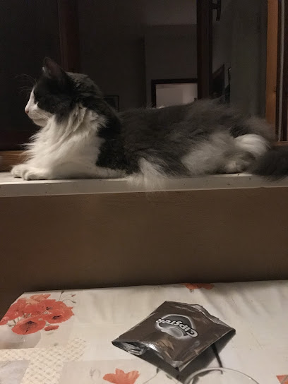 Sala Toelettatura Cristina Di Boni Cristina