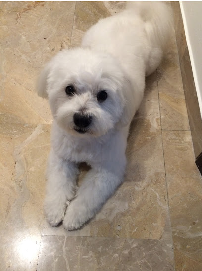 Salone delle Coccole