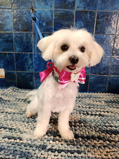 Sara Dog Style di Giai Sara