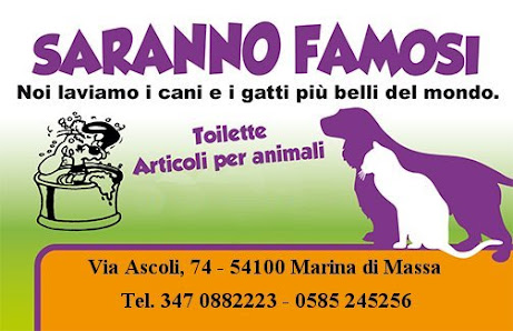 Saranno Famosi Di Rinaldi Riccardo