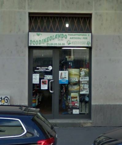 Scodinzolando di Eleonora Metruccio