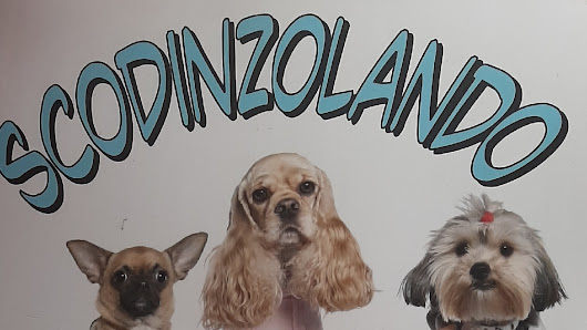Scodinzolando