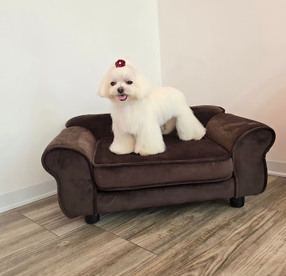 Scooby Doo Toelettatura Camin