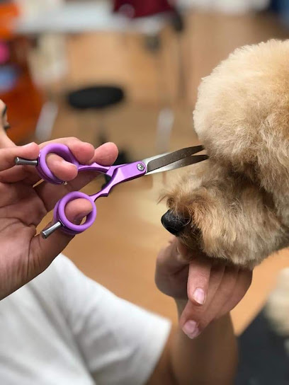 Scuola Corsi di Toelettatura Patrizia Silvestri
