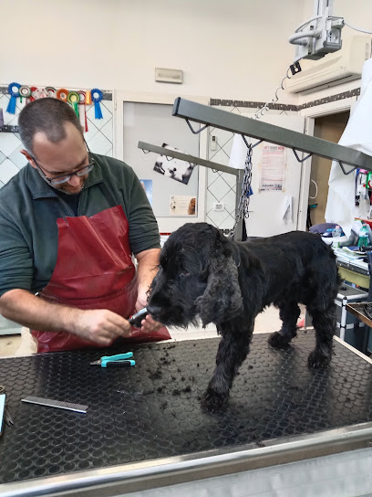 Sempre Belli di Trappolini Alessandro