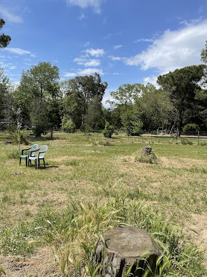 Sgambatoio Viareggio