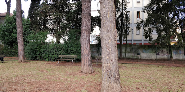 Sgambatoio cani Avenza