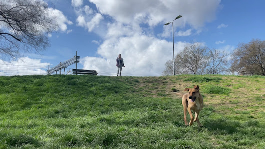 Sgambatoio per cani parco Lennon