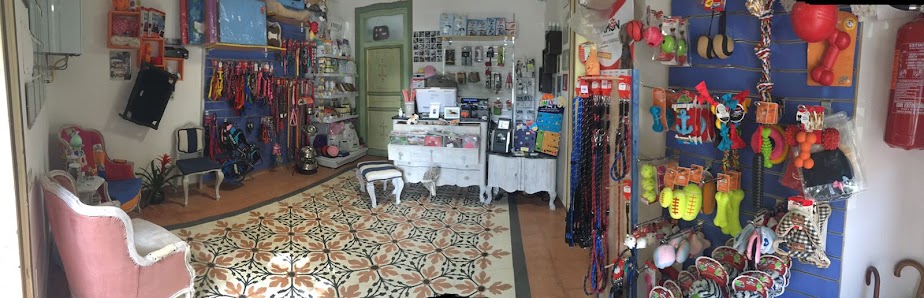 Shower Dog Beauty & Spa Di La Mantia Chiara