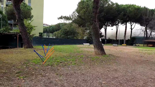 Simpatiche Canaglie, Area cani adottati