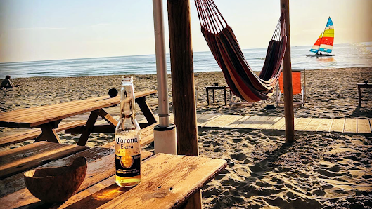 Single Fin Tuscany Dog Beach