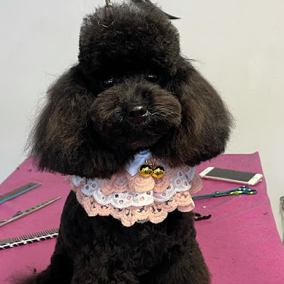 Sonia's Beautiful Dog