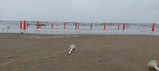 Spiaggetta libera per cani (area delimitata)