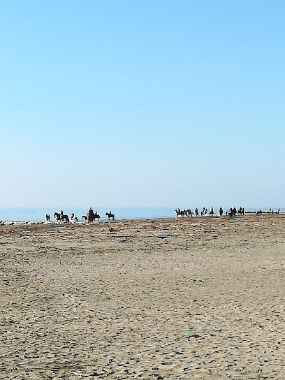 Spiaggia Libera di Latina