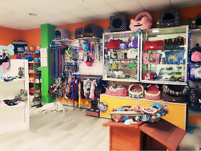 Stelle a 4 Zampe - Toelettatura - Pet Food - Alimentazione per Cani - Collari