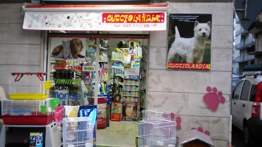 TOELETTATURA CANI CATANIA