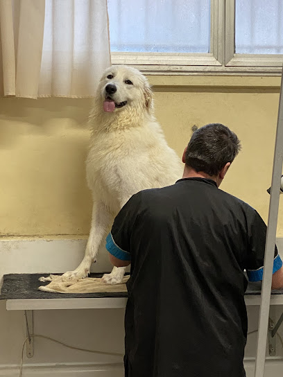 TOELETTATURA FE.MIR.ZOO