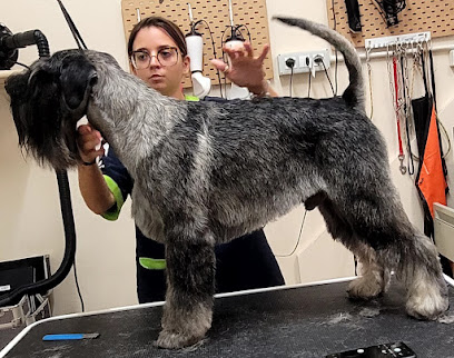 TOELETTATURA LE SENTINELLE DELLA DAUNIA