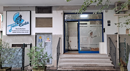 TestaCoda