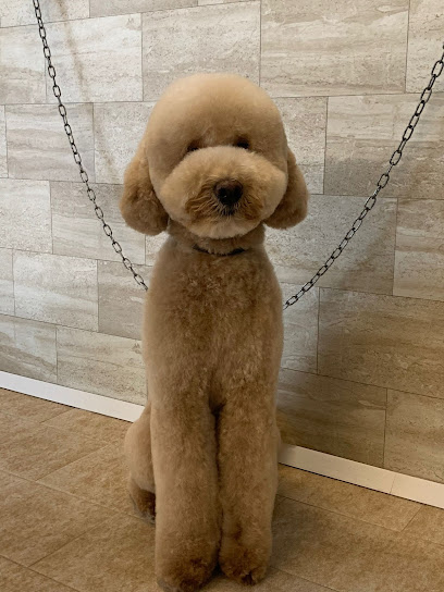 Toeletta Belli&Puliti