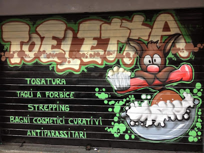 Toeletta Molla L'osso Magliana