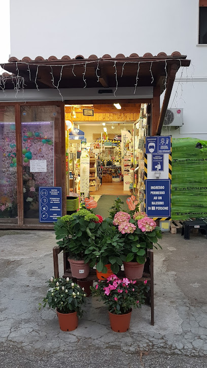 Toeletta Mr Grooming & Beauty Center