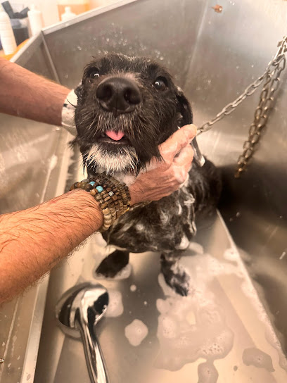 Toeletta Vanity Pet TIVOLI