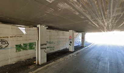 Toeletta Veterinario