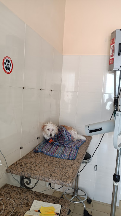 Toeletta Wendy & Pancio