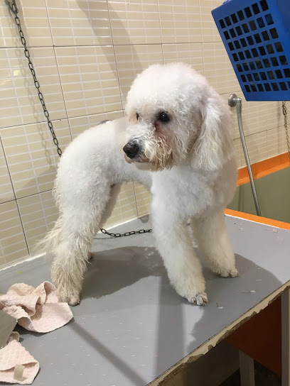 Toeletta gli amici di Maria