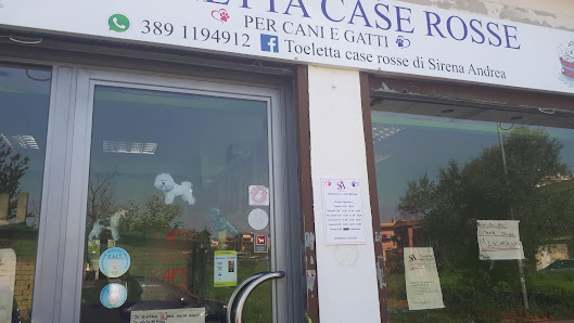 Toeletta, Toelettatura di Animali Domestici, Quattro Zampe, Cura dei Cani Urban Dog Roma