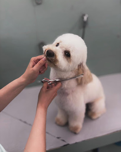 Toelettando con Giorgia