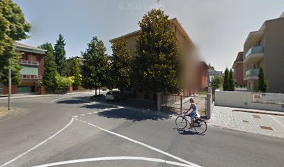 Toelettatatura Pelo E Contropelo