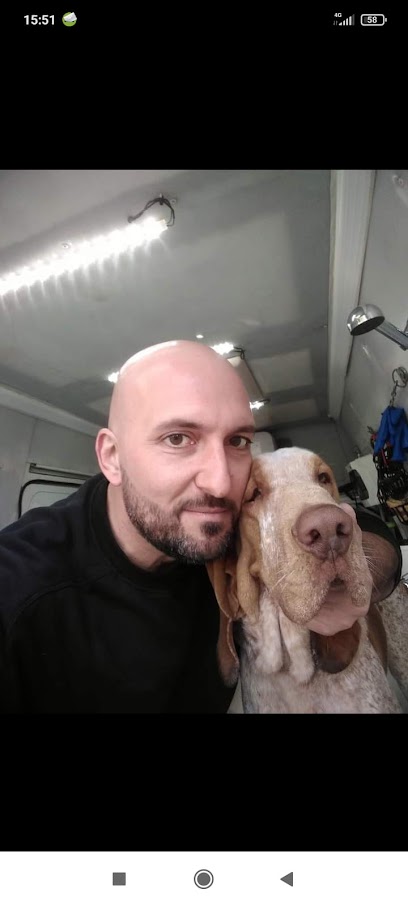 Toelettatore a Domicilio Terni