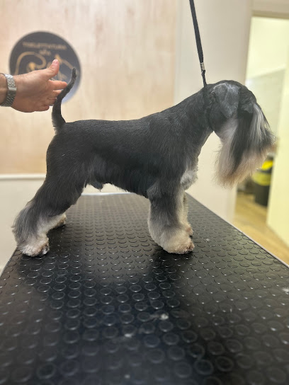 Toelettatura & SPA - Antonio Iuele