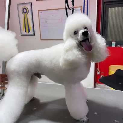 Toelettatura & Spa di Alessandro Rabito