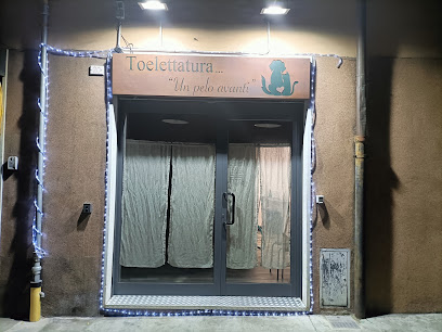 Toelettatura - Un Pelo Avanti