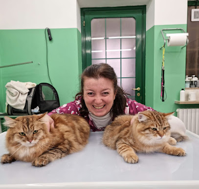 Toelettatura ARENA Pet Grooming