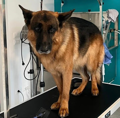 Toelettatura Amici spettinati