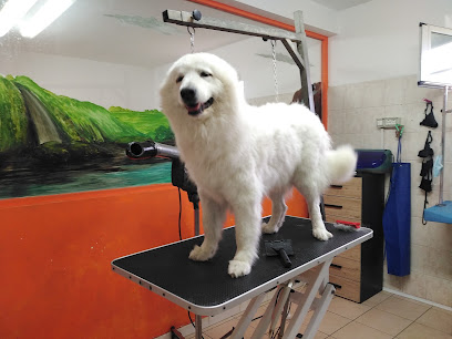 Toelettatura Amici...Miei Di Del Monte Deborah