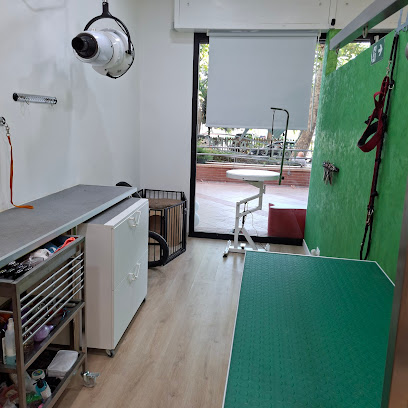 Toelettatura Ammi.pet