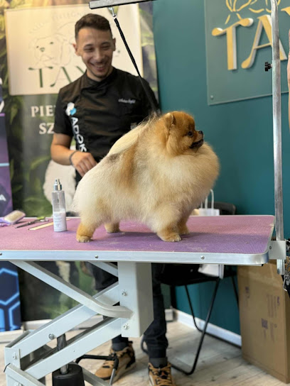 Toelettatura Andrea Scafidi