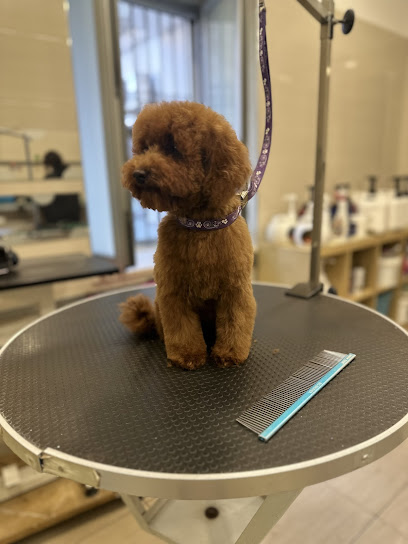 Toelettatura Baffi & Vibrisse SPA e Benessere animale