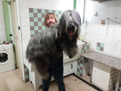 Toelettatura Beauty Pet