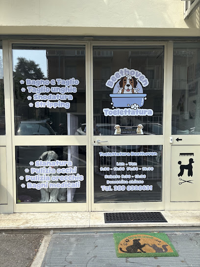 Toelettatura Beethoven